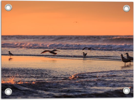 Tuinposter – Vliegende en Lopende Vogels in en Boven het Zeewater tijdens Zonsondergang - 40x30 cm Foto op Tuinposter (wanddecoratie voor buiten en binnen)