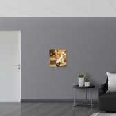 Dibond - Witte Vespa geparkeerd bij Traditioneel Italiaans Huis - 50x50 cm Foto op Aluminium (Wanddecoratie van metaal)