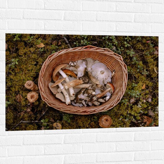 WallClassics - Muursticker - Mand gevuld met Natuurobjecten uit de Herfst - 105x70 cm Foto op Muursticker