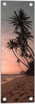 WallClassics - Tuinposter – Groepje Hoge Palmbomen op het Strand bij Zonsondergang - 20x60 cm Foto op Tuinposter (wanddecoratie voor buiten en binnen)
