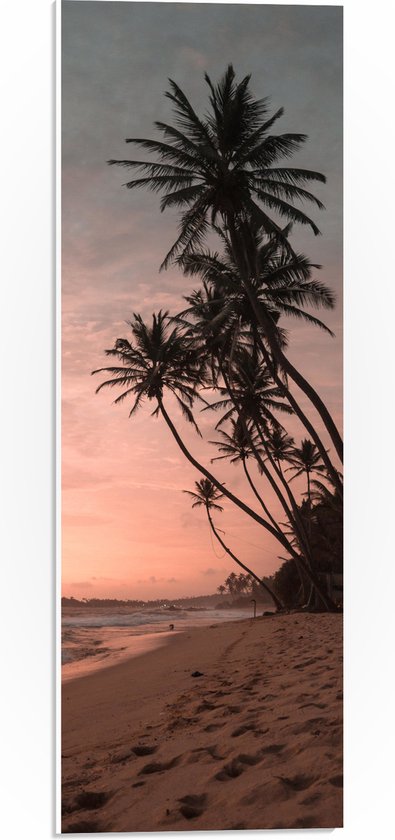 WallClassics - PVC Schuimplaat- Groepje Hoge Palmbomen op het Strand bij Zonsondergang - 20x60 cm Foto op PVC Schuimplaat