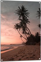 WallClassics - Tuinposter – Groepje Hoge Palmbomen op het Strand bij Zonsondergang - 70x105 cm Foto op Tuinposter (wanddecoratie voor buiten en binnen)
