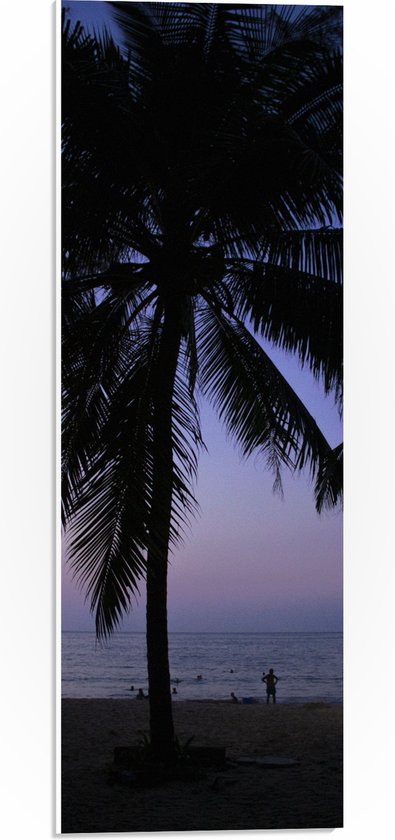 WallClassics - Panneau en mousse PVC - Silhouette de Palmiers contre la soirée sur la plage - Photo 20x60 cm sur panneau en mousse PVC