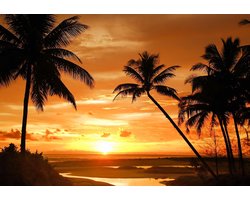 Fotobehang Beach Tropical Sunset Palms | XL - 208cm x 146cm | 130g/m2 Vlies