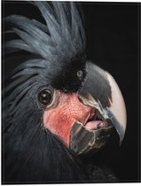 Vlag - Zwartkleurige Kaketoe Vogel tegen Zwarte Achtergrond - 30x40 cm Foto op Polyester Vlag