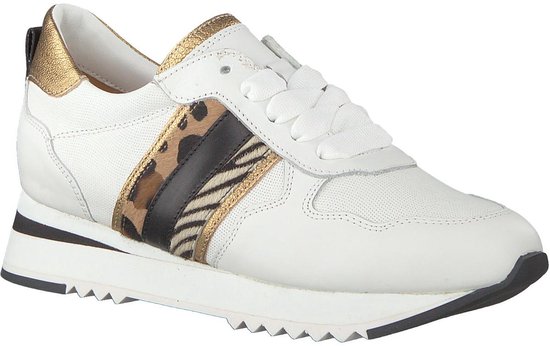 ماهر النووية النشيد الوطني omoda witte sneakers - rise-association.com