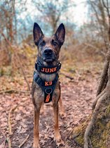 Halsband Gepersonaliseerd eigen naam - Spike - Honden halsband Geborduurd - Tactical - Zwart - Hals 45-75 CM - geschikt voor iedere hondenriem - voor middel en grote honden - Best getest 2022 - 450KG Anti trek test - One Size