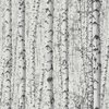 BERKENBOS BEHANG | Bomen - wit grijs zwart - A.S. Création PintWalls II
