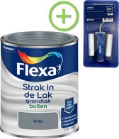 Flexa Strak in de Lak - Grondlak Buiten - Grijs - 750 ml + Flexa Lakroller - 4 delig