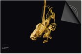 Inductie beschermer 60x60 - afdekplaat inductie mat - Dietrix Kookplaat beschermer - Base - Black en Gold - Rook goud