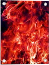 Tuinposter – Brandend Vuur met Zwarte Achtergrond - 30x40 cm Foto op Tuinposter (wanddecoratie voor buiten en binnen)