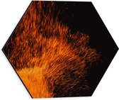 Dibond Hexagon - Oranje Spetters van Vuurkorf - 30x26.1 cm Foto op Hexagon (Met Ophangsysteem)