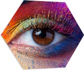 PVC Schuimplaat Hexagon - Vrouwelijke Oog met Meerkleurige Make-up - 70x60.9 cm Foto op Hexagon (Met Ophangsysteem)