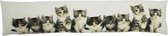 Mars & More Canvas Kat Kittens - Tochrol - 90x20 cm - Multicolour