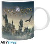 Harry Potter Hogwarts Legacy Castle Mug 320ml