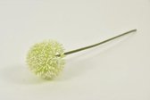 Kunstbloemen En Overige - Allium Globemaster Cream /green Small 44cm