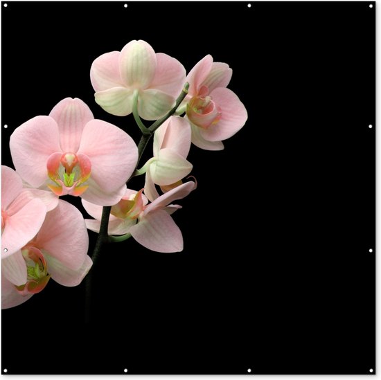 Tuin poster Orchidee - Bloemen - Roze - Stilleven - Flora - 200x200 cm - Tuindoek - Buitenposter