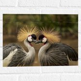 Muursticker - Liefdevol Duo Kraanvogels - 40x30 cm Foto op Muursticker