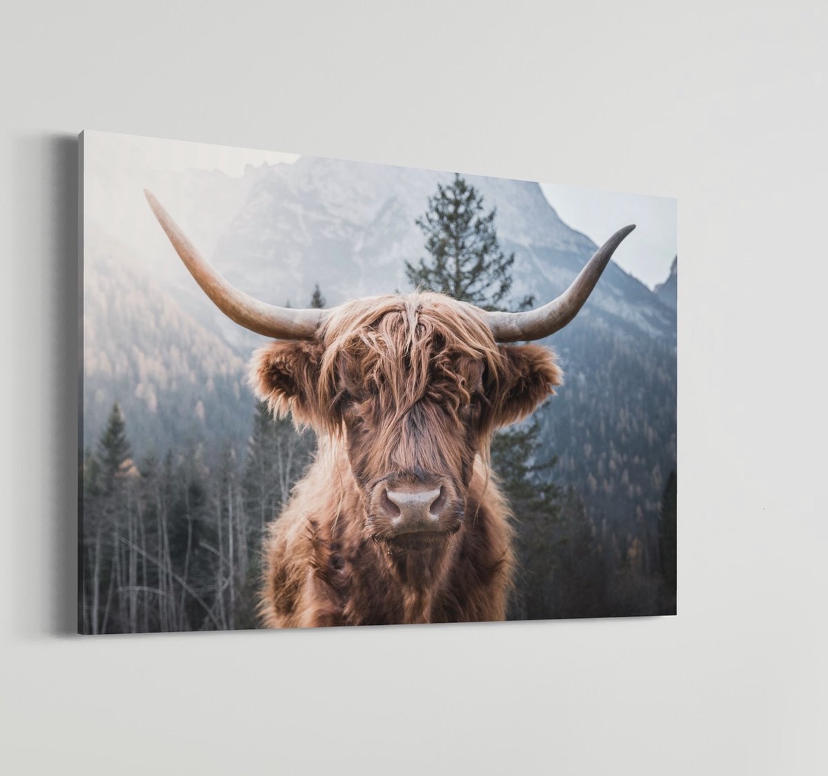 Hooglander | Schobbejak Animal Collection | Dibond+® | Wanddecoratie | Kunst | Schilderij | 100x150 CM