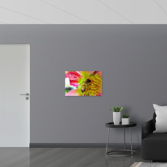 Acrylglas - Drinkende Wesp uit Midden van Roze Bloem - 75x50 cm Foto op Acrylglas (Met Ophangsysteem)