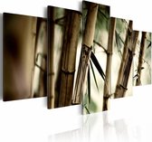 Schilderij - Aziatische Bamboe Bos, Bruin, 5luik, wanddecoratie