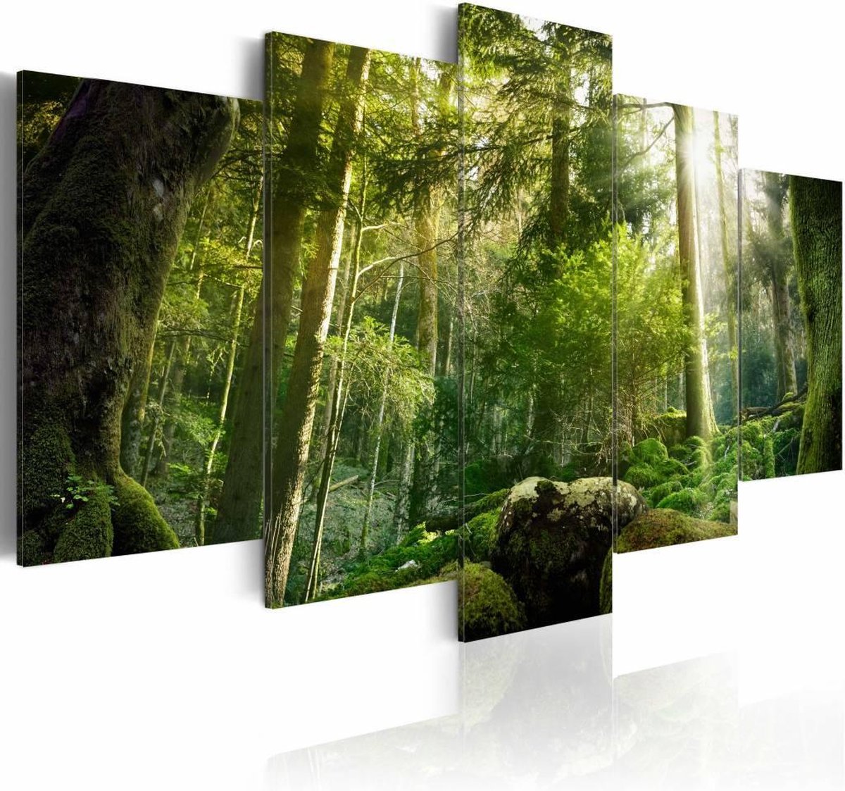karo-art Schilderij - De Schoonheid van het Bos, 5luik , groen , premium print op canvas Multikleur