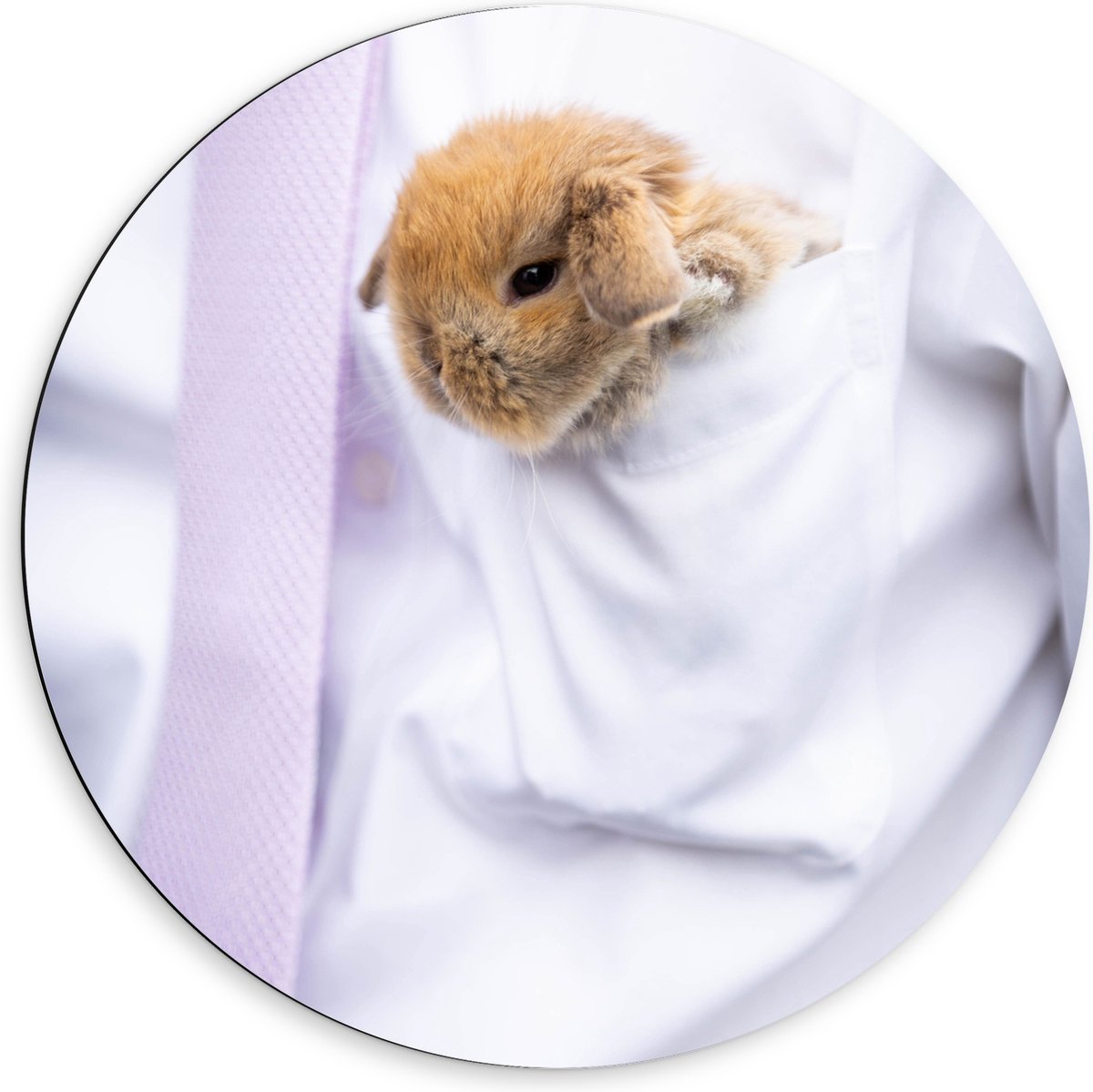 Dibond Muurcirkel - Bruine Baby Konijn in Borstzak van Zakenman - 60x60 cm Foto op Aluminium Muurcirkel (met ophangsysteem)