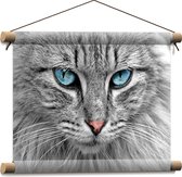 Textielposter - Kop van Grijze Langharige Kat met Felblauwe Ogen - 40x30 cm Foto op Textiel