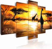 Schilderij - Giraffen bij drinkplaats, Afrika, Geel/oranje, 5luik, Print op canvas