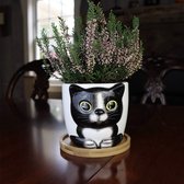 Window Garden® Kattenplant - Grote Kitty Pot voor planten, kruiden en bloemen. Schattige plantenbak, ideaal cadeau voor kattenliefhebbers. (Sebby)