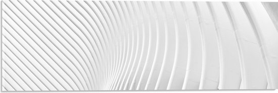 Acrylglas - Golvende Bogen in het Wit - 60x20 cm Foto op Acrylglas (Met Ophangsysteem)