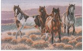 borduurpakket 01141 jonge paarden in het veld (collectors item!)