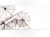 PVC Schuimplaat- Doorzichtige Paraplu Vormen tegen Witte Achtergrond - 100x50 cm Foto op PVC Schuimplaat