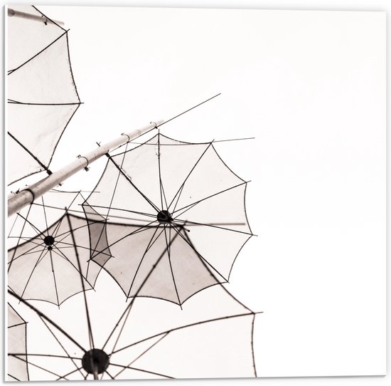 PVC Schuimplaat- Doorzichtige Paraplu Vormen tegen Witte Achtergrond - 50x50 cm Foto op PVC Schuimplaat