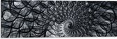 Dibond - Cirkelvormig Patroon met Zwart, Wit en Grijs - 90x30 cm Foto op Aluminium (Wanddecoratie van metaal)