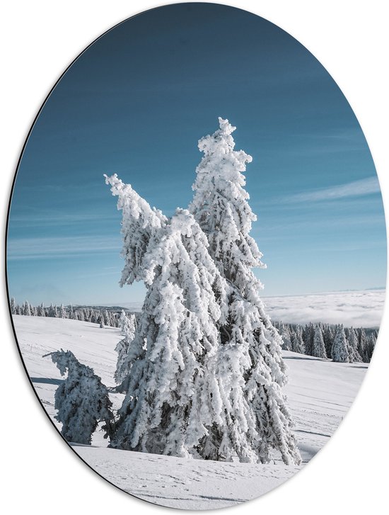 WallClassics - Dibond Ovaal - Dikke Sneeuwlaag op Boom in Wit Landschap - 51x68 cm Foto op Ovaal (Met Ophangsysteem)