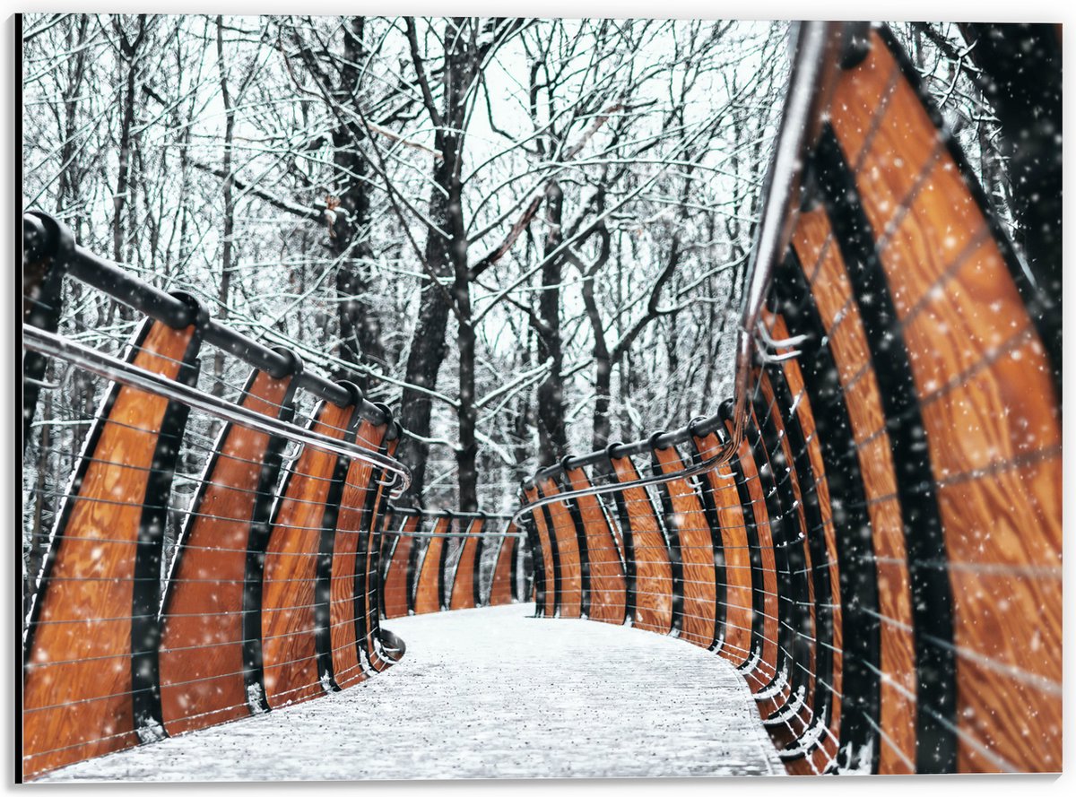 Dibond - Hekwerk in Ondergesneeuwd Bos - 40x30 cm Foto op Aluminium (Wanddecoratie van met