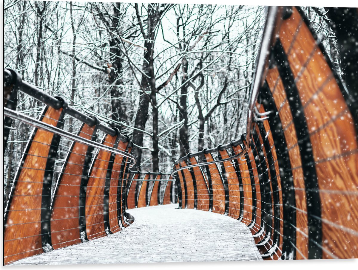 Dibond - Hekwerk in Ondergesneeuwd Bos - 80x60 cm Foto op Aluminium (Wanddecoratie van met