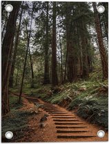 WallClassics - Affiche de jardin - Chemin entre grands Arbres en forêt - 30x40 cm Photo sur affiche de jardin (décoration murale pour l'extérieur et l'intérieur)