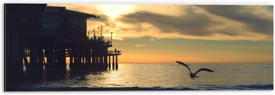 Dibond - Meeuw Vliegend Boven de Zee met aan de Zijkant een Leuk Strandtentje - 60x20 cm Foto op Aluminium (Wanddecoratie van metaal)