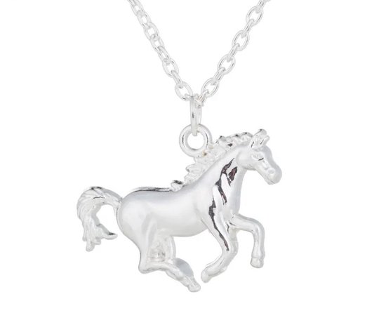 Akyol - ketting met een paard - horse - ketting hoefijzer - sieraden paard - zilver kleurig - paarden liefhebber - verjaardagscadeau voor je vriendin - ketting- paard ketting - hoefijzer ketting -ketting cadeau -ketting kado