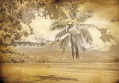 Fotobehang - Vlies Behang - Vintage Palmboom aan Zee - 254 x 184 cm