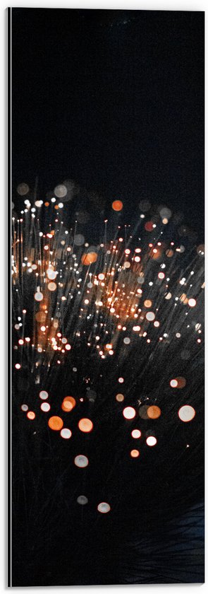Dibond - Takken met Oranje Lichtjes aan de Bovenkant - 20x60 cm Foto op Aluminium (Met Ophangsysteem)