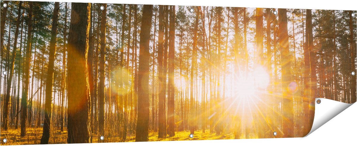 Gards Tuinposter Zonsopkomst in het Bos tussen de Bomen - 180x60 cm - Tuindoek - Tuindecoratie - Wanddecoratie buiten - Tuinschilderij Multikleur
