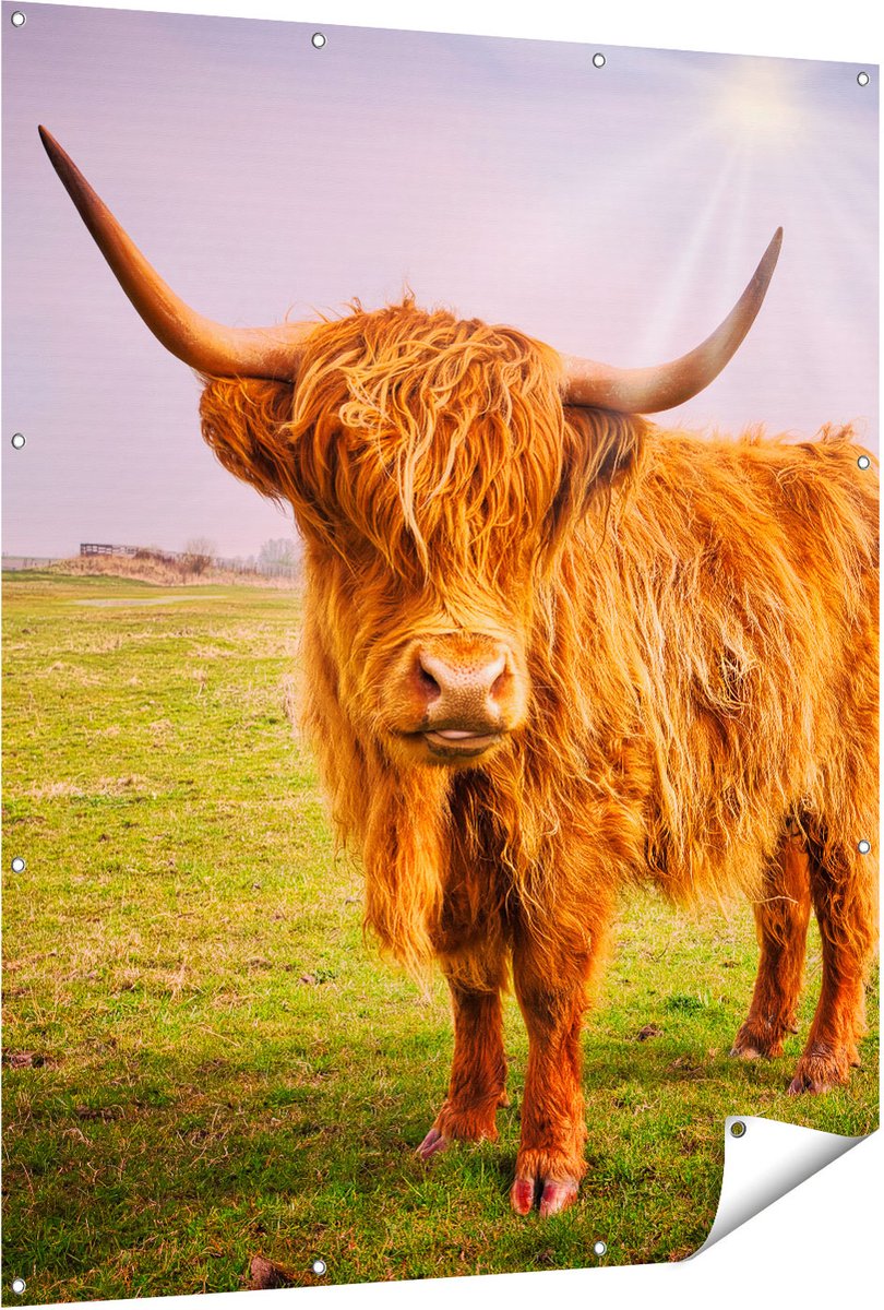 Gards Tuinposter Bruine Schotse Hooglander Koe - Kleur - 120x150 cm - Tuindoek - Tuindecoratie - Wanddecoratie buiten - Tuinschilderij Multikleur