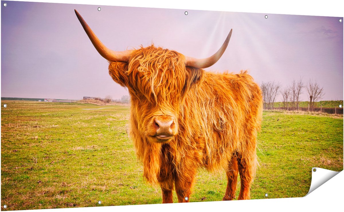 Gards Tuinposter Bruine Schotse Hooglander Koe - Kleur - 200x100 cm - Tuindoek - Tuindecoratie - Wanddecoratie buiten - Tuinschilderij Multikleur