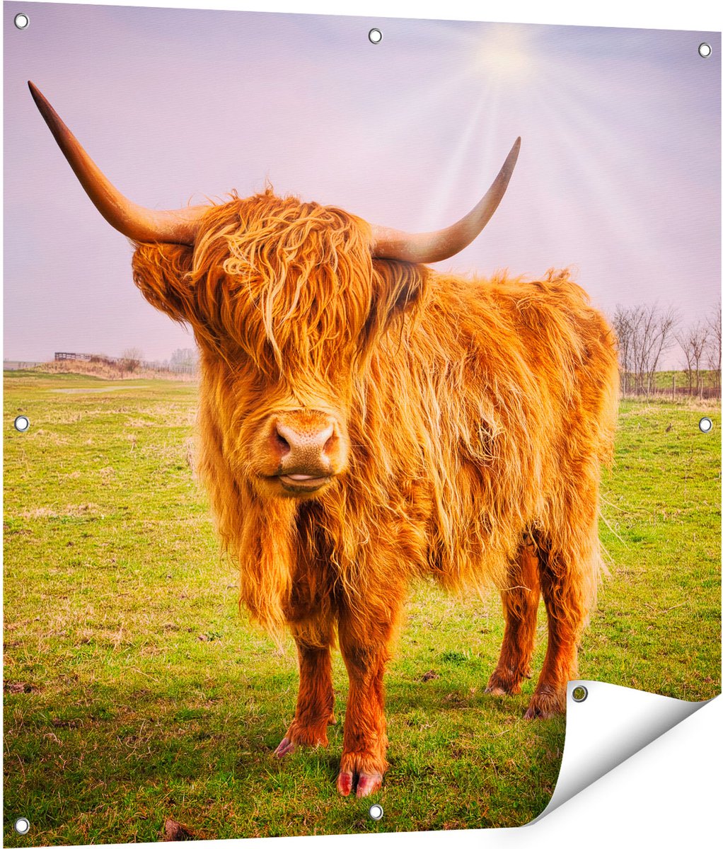 Gards Tuinposter Bruine Schotse Hooglander Koe - Kleur - 90x90 cm - Tuindoek - Tuindecoratie - Wanddecoratie buiten - Tuinschilderij Multikleur