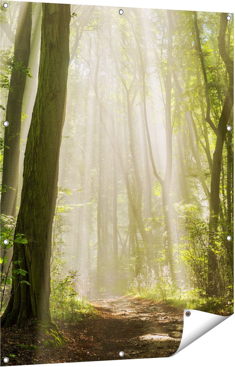Gards Tuinposter Bos met Bomen en Zonneschijn - 90x120 cm - Tuindoek - Tuindecoratie - Wanddecoratie buiten - Tuinschilderij Multikleur
