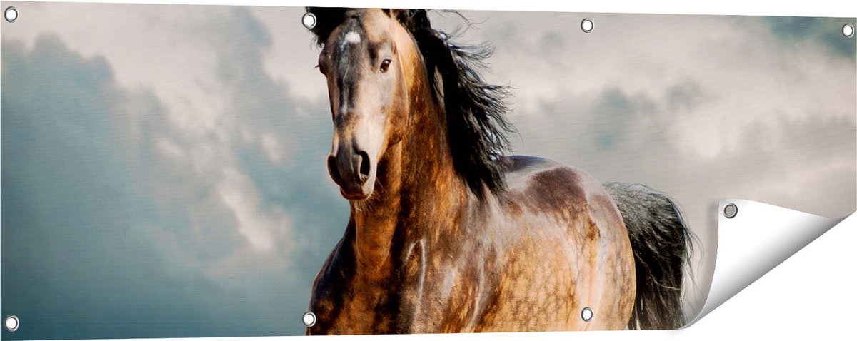 Gards Tuinposter Wilde Paard in het Zand - 120x40 cm - Tuindoek - Tuindecoratie - Wanddecoratie buiten - Tuinschilderij Multikleur