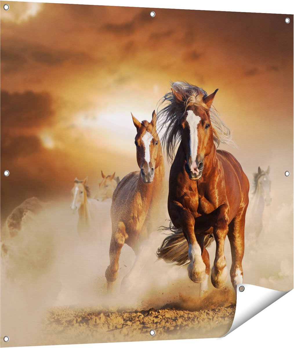 Gards Tuinposter Wilde Paarden in het Zand - 100x100 cm - Tuindoek - Tuindecoratie - Wanddecoratie buiten - Tuinschilderij Multikleur